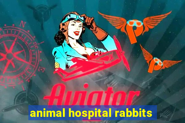 animal hospital rabbits